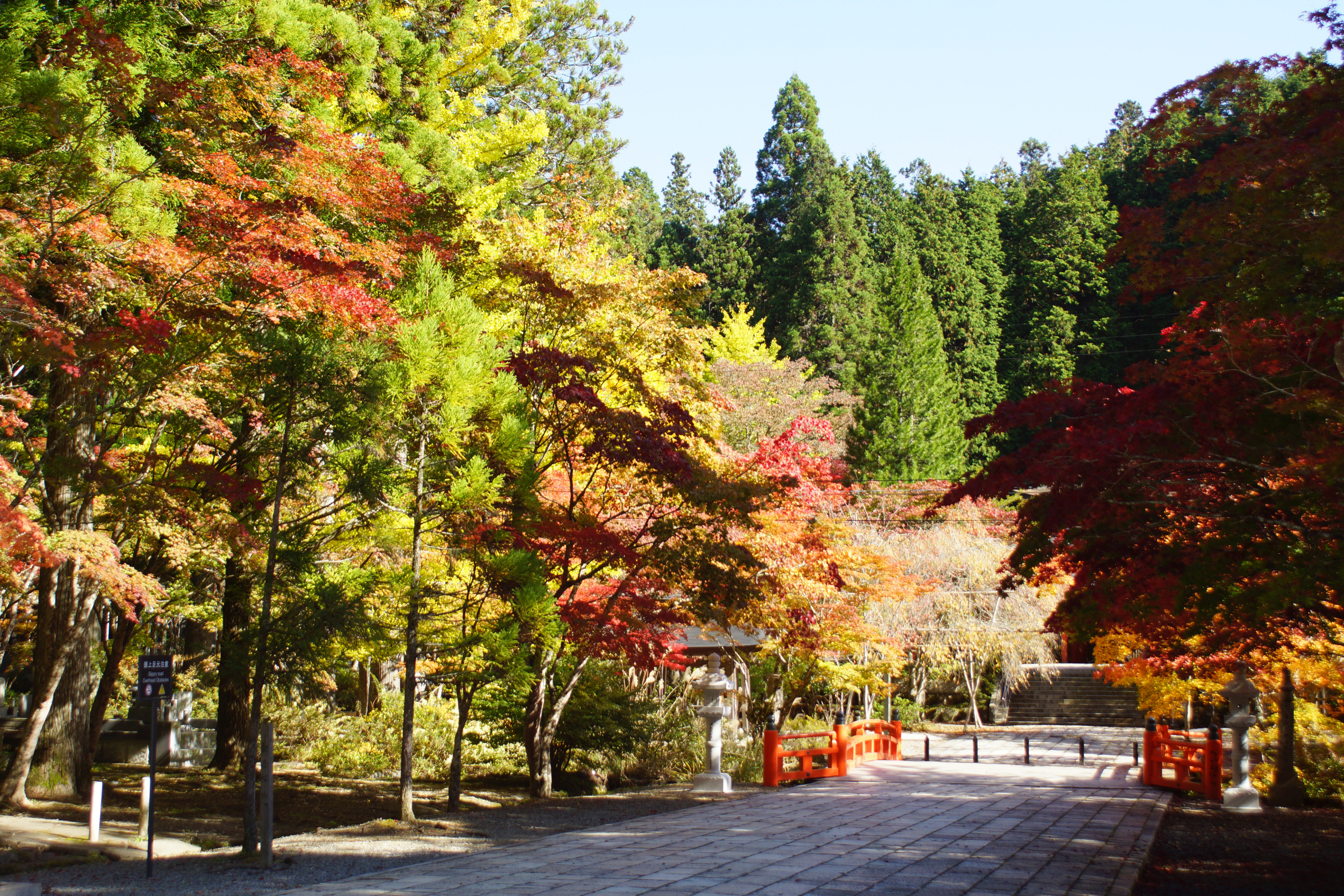 koyasan mountain.webp